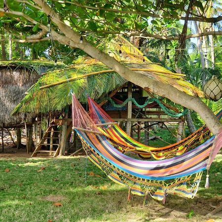 Derek'S Place Eco-Lodge Pulau Little Corn Luaran gambar