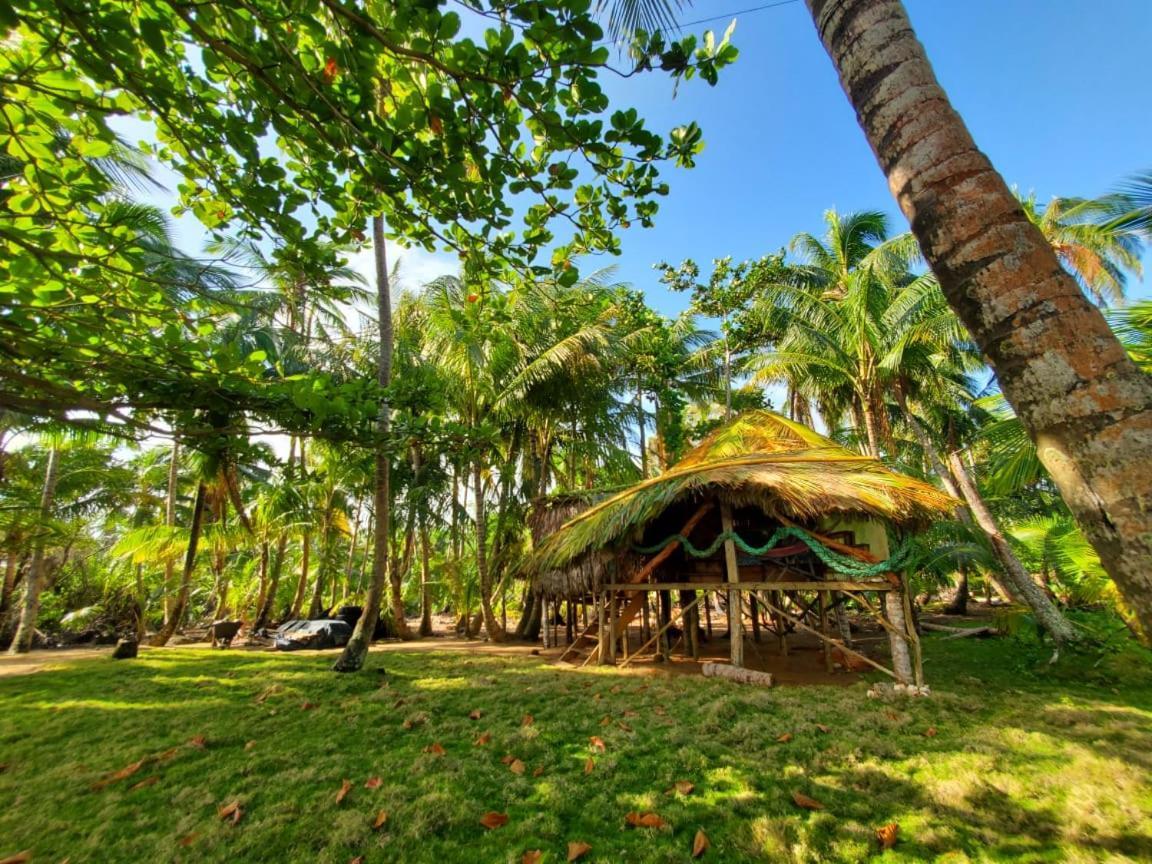 Derek'S Place Eco-Lodge Pulau Little Corn Luaran gambar