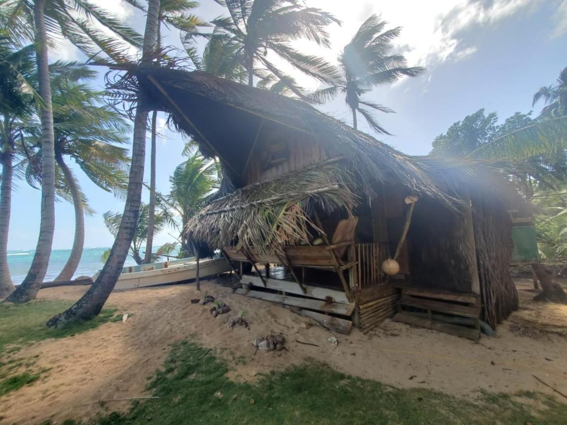 Derek'S Place Eco-Lodge Pulau Little Corn Luaran gambar