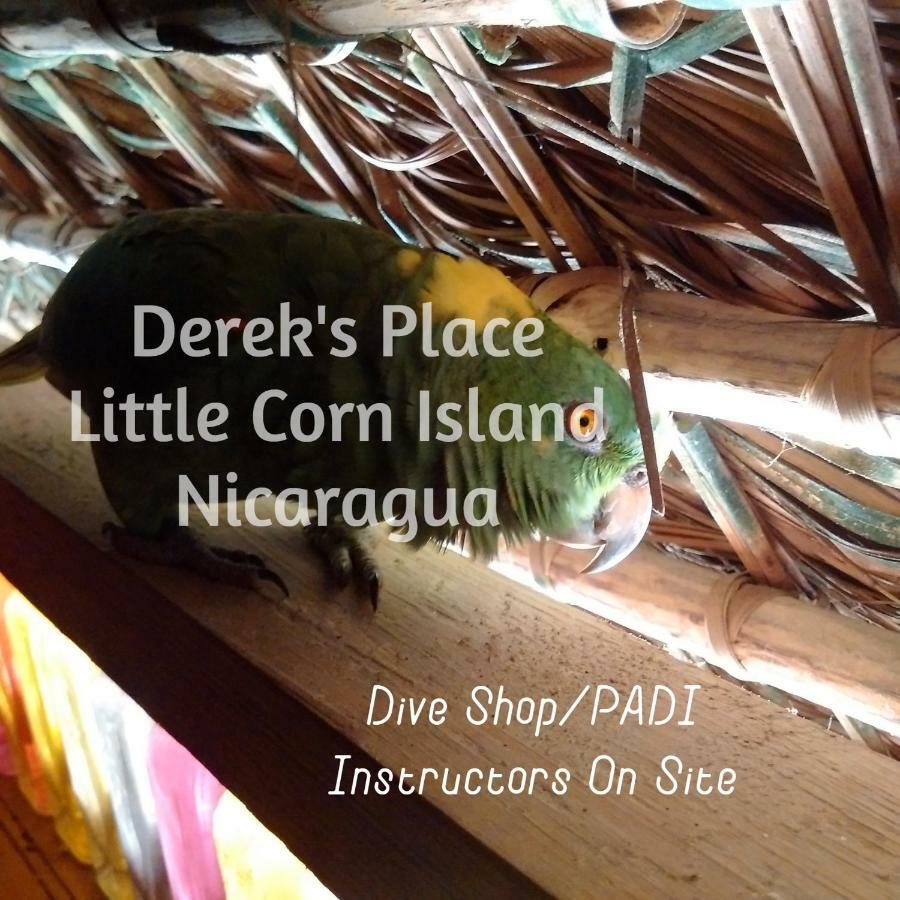 Derek'S Place Eco-Lodge Pulau Little Corn Luaran gambar